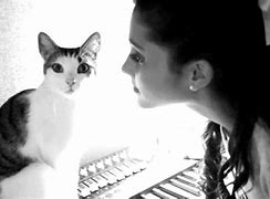 Image result for Ariana Grande with Cats