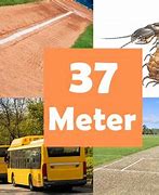 Image result for How Big Is 37 Meters