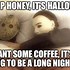 Image result for Halloween 2020 Dank Memes