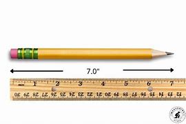 Image result for How Long Is Seven Inches