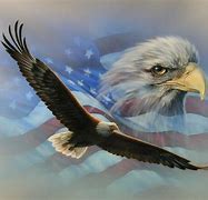 Image result for Mural of American Flag and Eagle