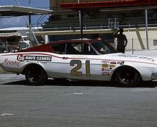 Image result for Cale Yarborough Can-Am