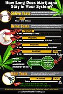 Image result for How Long Does Weed Stay in Your System If You Chug Water