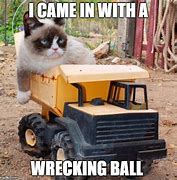 Image result for Rolling Pin Cat Meme