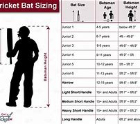 Image result for Cricket Bat Sizes