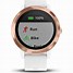 Image result for Garmin VivoActive Fitness Watch