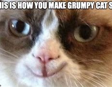 Image result for Grumpy Cat Happy Face