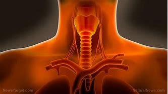 Image result for Throat Cancer Types