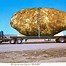 Image result for Largest Potato Pics
