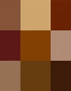 Image result for iPhone 5 Pro Colors