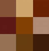 Image result for What Colors Do the iPhone 12 Come In