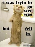 Image result for Cat Standin by Toilet Meme
