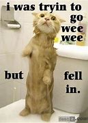 Image result for Funny Cat in Toilet