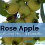 Image result for Rose Apple Fruit
