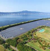 Image result for Japan Solar Animal