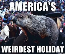 Image result for Florida Groundhog Day Meme