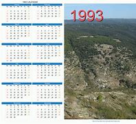 Image result for 1993 Calendar