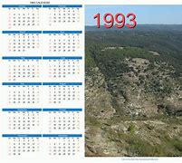 Image result for 1993 Calendar USA