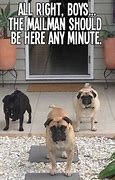 Image result for Waiting for Mail Funny