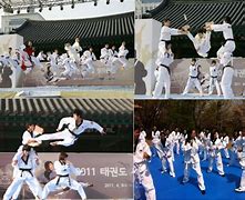 Image result for Korea Martial Arts Pin