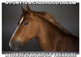 Image result for You Stink of Horse Meme Saruman
