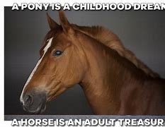 Image result for Soon Horse Meme