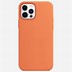 Image result for Gloss Black iPhone 12 Case