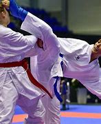 Image result for Karate Female Kumite