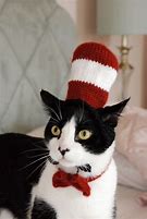 Image result for Funny Cat Halloween Costumes