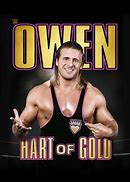 Image result for Owen Hart After Fall