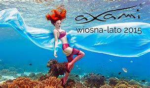 Image result for wlosna
