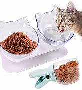 Image result for Hungry Cat with Food Bowl