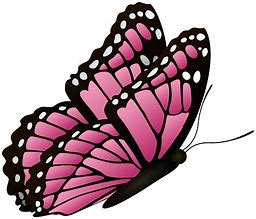 Image result for Red Cartoon Butterfly Clip Art