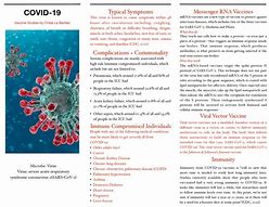 Image result for Covid 19 Brochure