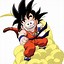 Image result for Dragon Ball Z Fighteer