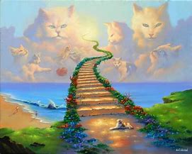 Image result for Cartoons of Cat On Rainbow Bridge