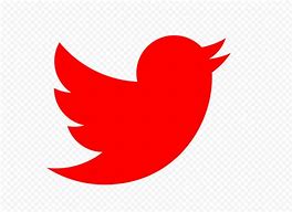 Image result for Twitter Logo Actual