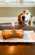 Image result for happy birthday dogs cakes