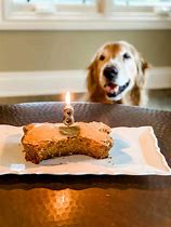 Image result for Dog Birthday Ex Large Dog
