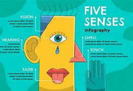 Image result for Five Senses Graphic Organizer