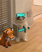 Image result for Minecraft Memes Funny Cat