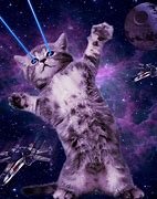 Image result for Weird Space Cat Wallpaper