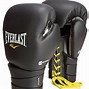 Image result for Boxing Headgear Amazon