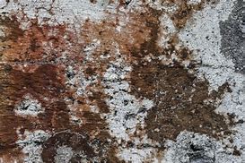 Image result for Gritty Wall Background Texture