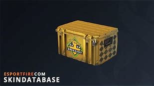 Image result for Operation Breakout Weapon Case
