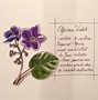 Image result for African Flower Drawing