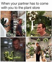 Image result for Outside Vines and Memes