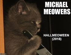 Image result for 2018 Cat Meme