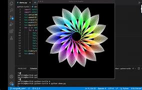 Image result for Simple Turtle Python Code