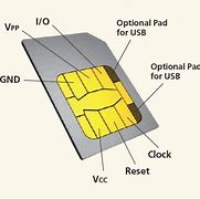 Image result for Where Is the Sim Card Number Located